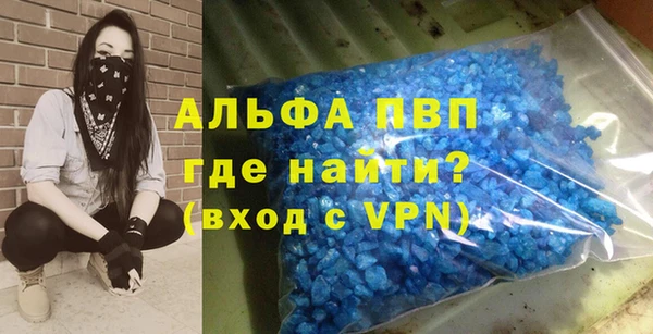 спайс Покачи