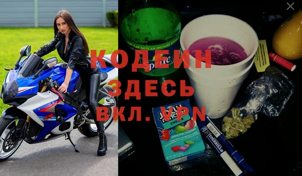 хмурый Покров
