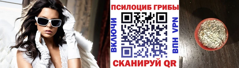 Псилоцибиновые грибы мицелий  где найти наркотики  Мосальск 